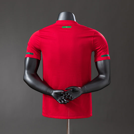Portugal 2010 Home Retro Jersey – Transition to Ronaldo Era